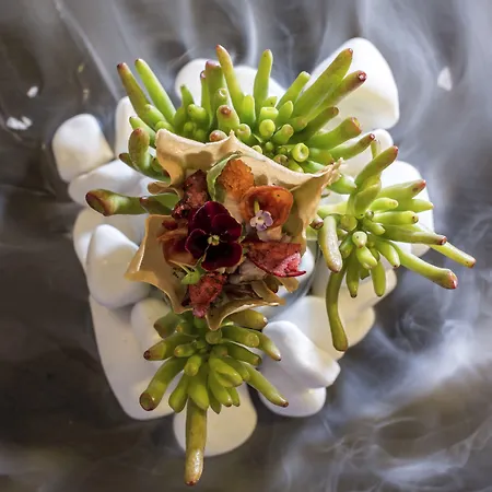 فندق Katikies Kirini Santorini - The Leading Of The World 5*