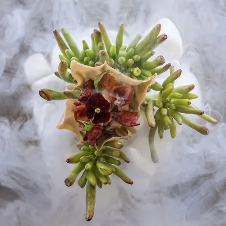 فندق Katikies Kirini Santorini - The Leading Of The World